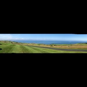 Meet your Posher, Shane